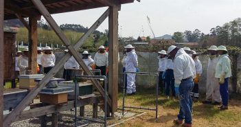 CURSO-APICULTURA-1