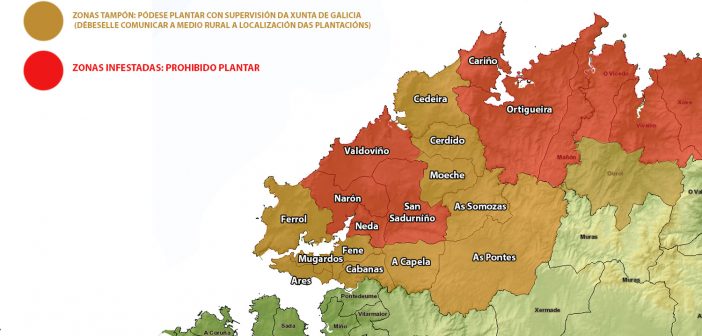 Mapa de elaboración propia coas zonas tampón e de prohibición na nosa zona (Base cartográfica IET-Xunta de Galicia)