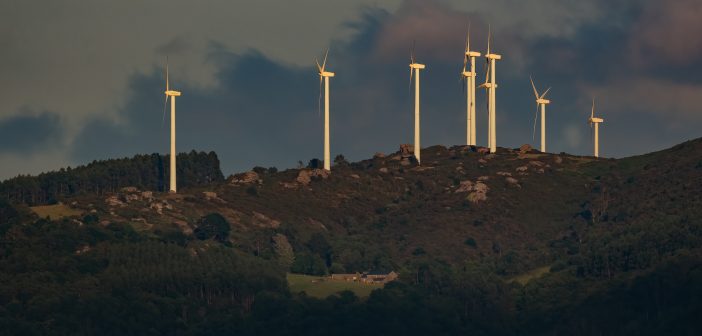 DSC03439-web1281x1920U100