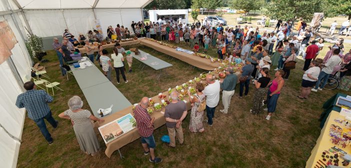 301301468_10160473294371202_1373425535870810254_n