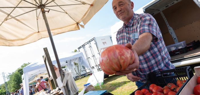 301543622_10160473291776202_5864970945176840505_n