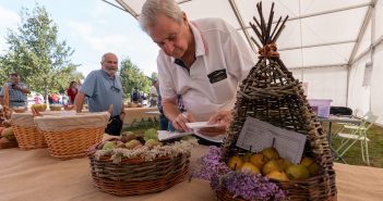 _DSC7611_Original ratio_2000x1500_U_80