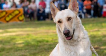 _DSC3043_Original ratio_1920x1281_H_90