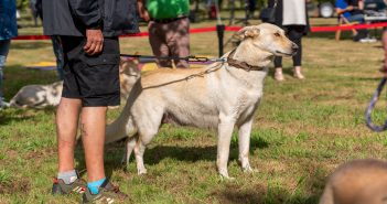 _DSC3030_Original ratio_1920x1080_H_90