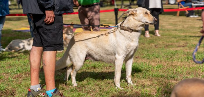 _DSC3030_Original ratio_1920x1080_H_90