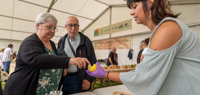 _DSC3258_3000x2001_H_116_Original ratio