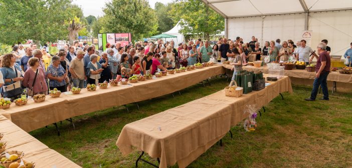 _DSC3419_3000x1688_H_116_Original ratio