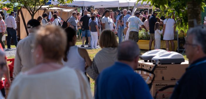 _DSC7732_Original ratio_2000x1335_U_80