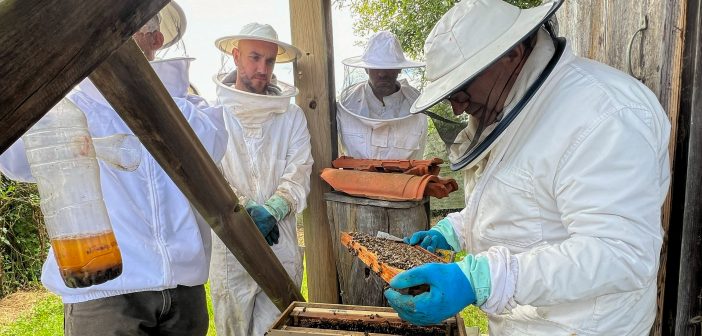 IMG_0535_Fixed Width_3000x1688_H_210