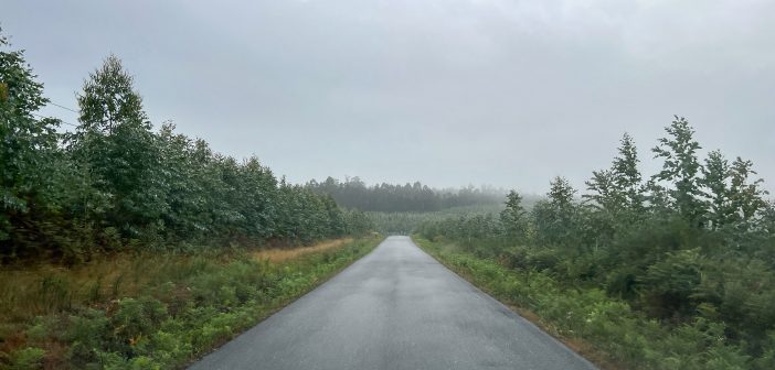 IMG_6926_Fixed Width_2500x1406_H_210