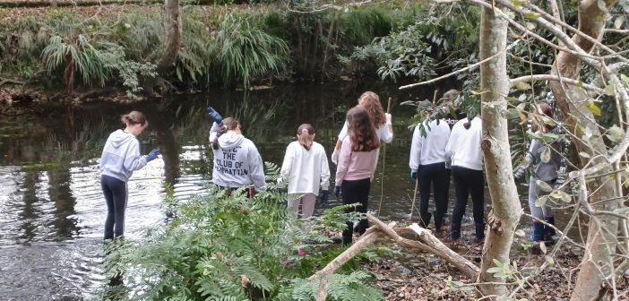 20250929_111550_2500x1667_H_120_Original ratio