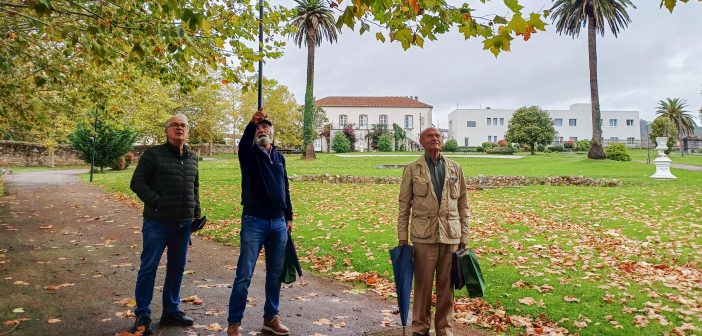 20251022_103054_Original ratio_3000x2250_H_120