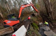 _DSC0381_2500x1668_H_120_Original ratio