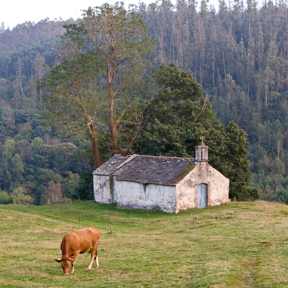 Capela de San Marcos de Amido (Igrexafeita)          
