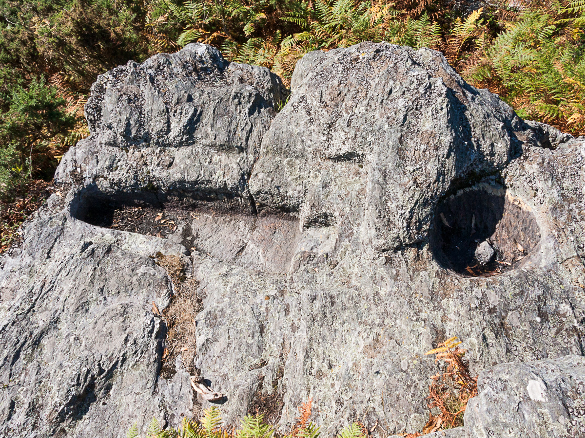 Cama de "San Vicente"      