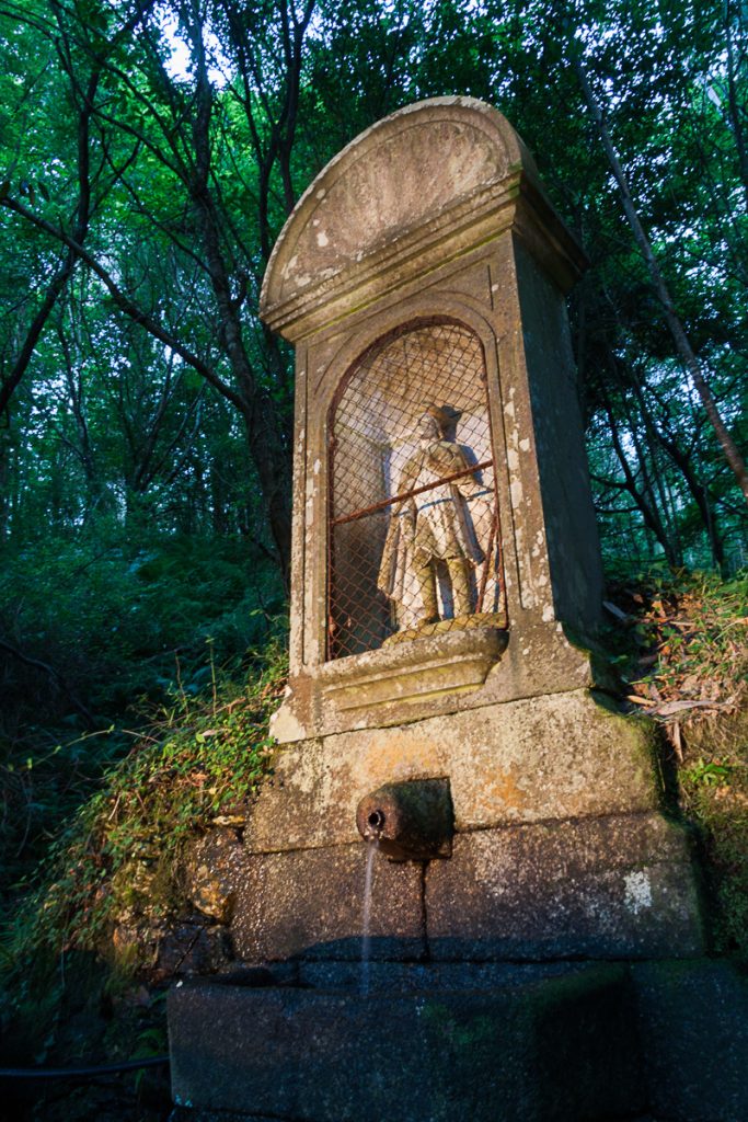 Santa María de Naraío                  