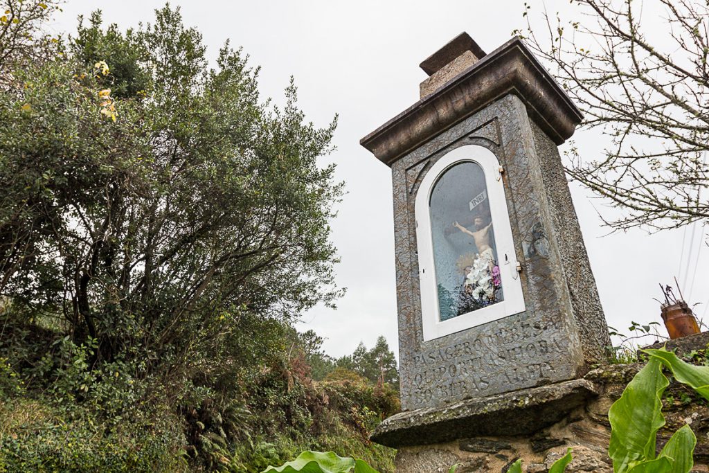 Peto Ánimas en Ferreira                    