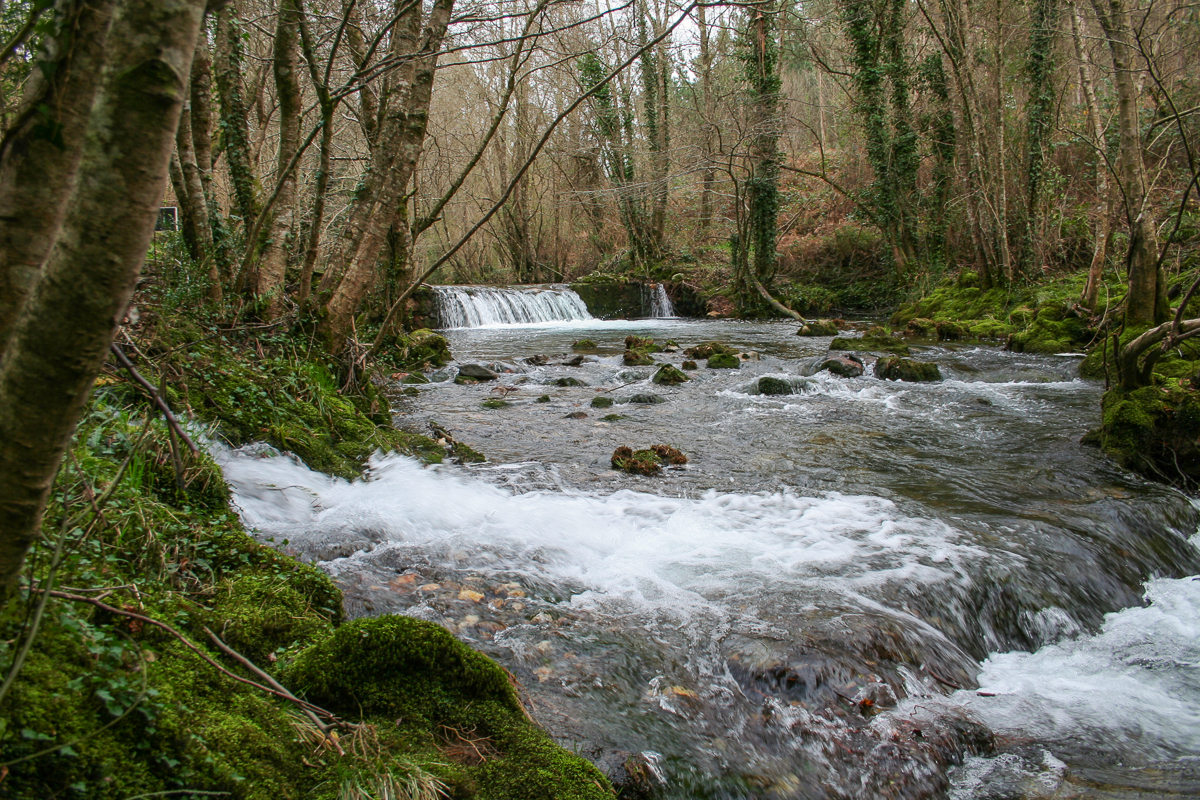 Río Castro 